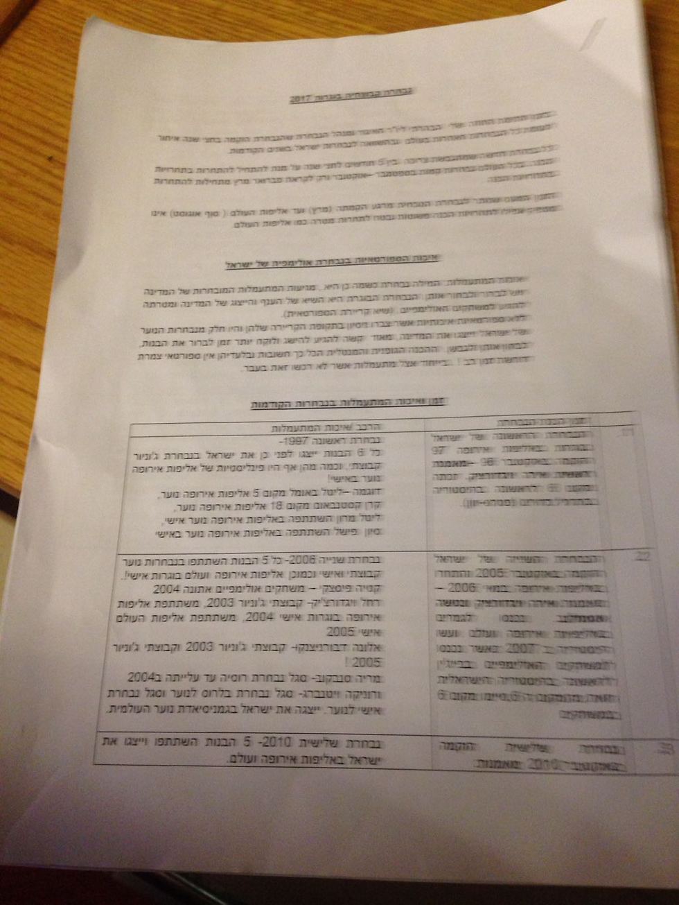 המסמך שמסרה אירה ויגדורצ'יק לידי הוועדה (צילום: פרטי) (צילום: פרטי)