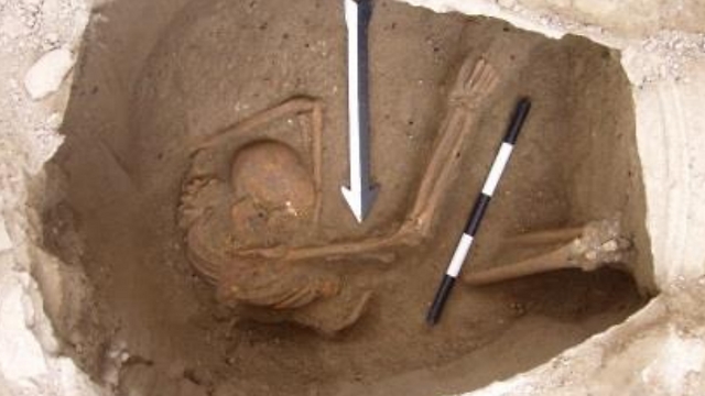 Один из останков ханаанеев. Фото взято из исследования. 