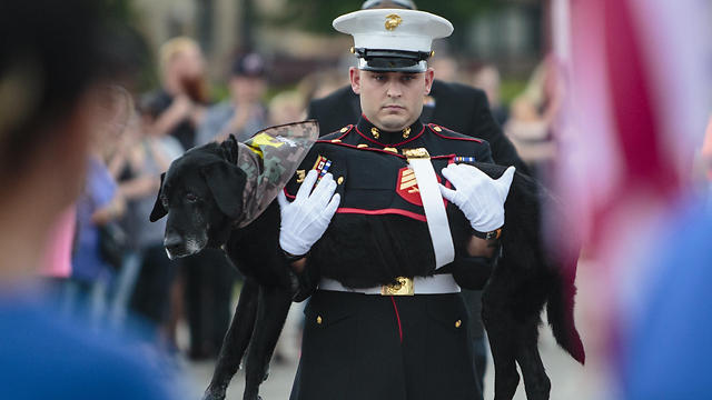 ג'ף דה יאנג נושא את הכלב סינה (צילום: AP) (צילום: AP)