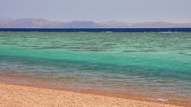 ים סוף. מתחם תיירות ענקי ב-50 איים טבעיים (צילום: shutterstock) (צילום: shutterstock)
