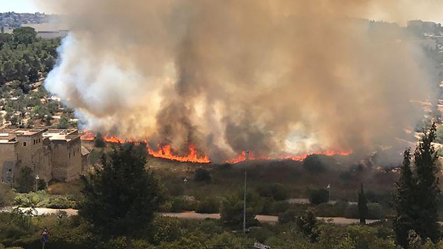 השריפה בעמק המצלבה (צילום: טל ישראלי) (צילום: טל ישראלי)