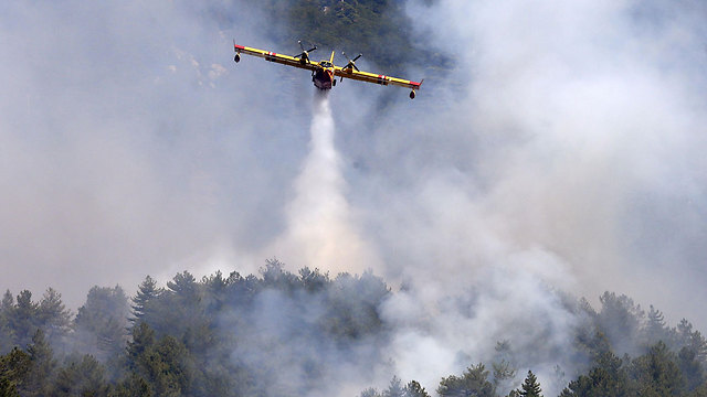 שריפה באי קורסיקה בגל החום הכבד (צילום: AFP) (צילום: AFP)