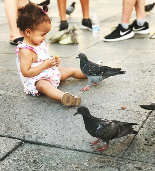 חובה ג'ל אלכוהולי בשלוף חובה ג'ל אלכוהולי בשלוף