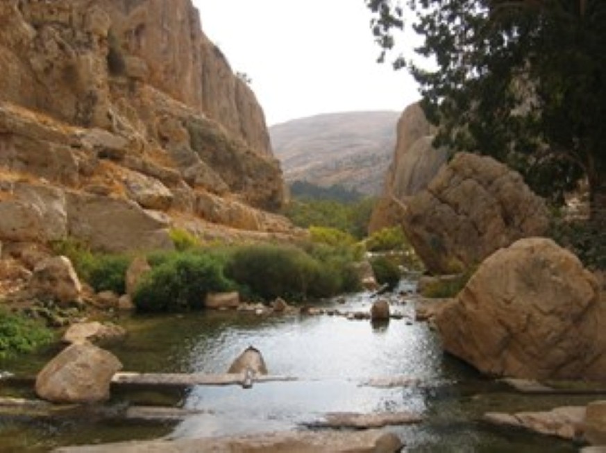 (צילום: שירן בן יעקב) (צילום: שירן בן יעקב)