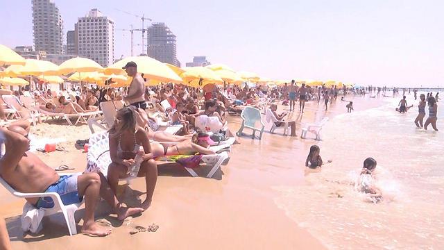 שבת חמה ולחה בחוף תל אביב (צילום: ניצן דרור) (צילום: ניצן דרור)
