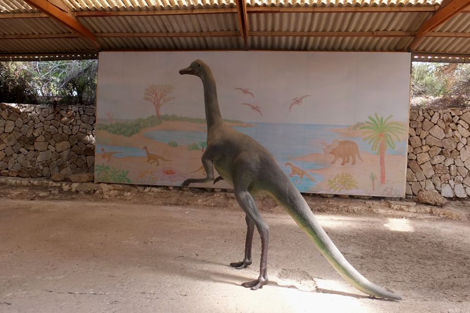 Парк динозавров в мошаве Бейт-Заит
