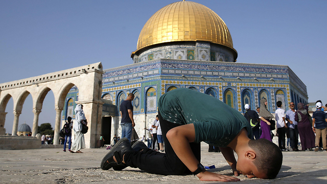 בעולם הערבי הבטיחו "תגובה זועמת" להכרה בירושלים כבירת ישראל. הר הבית (צילום: AFP) (צילום: AFP)