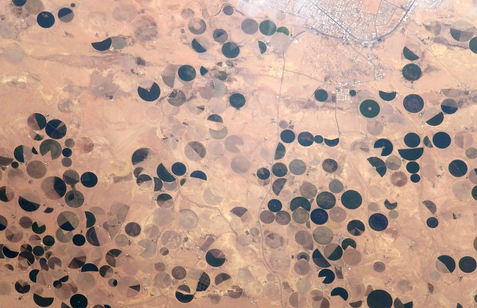 שדות חקלאיים מהחלל (צילום: ג'ק פישר, נאס"א) (צילום: ג'ק פישר, נאס