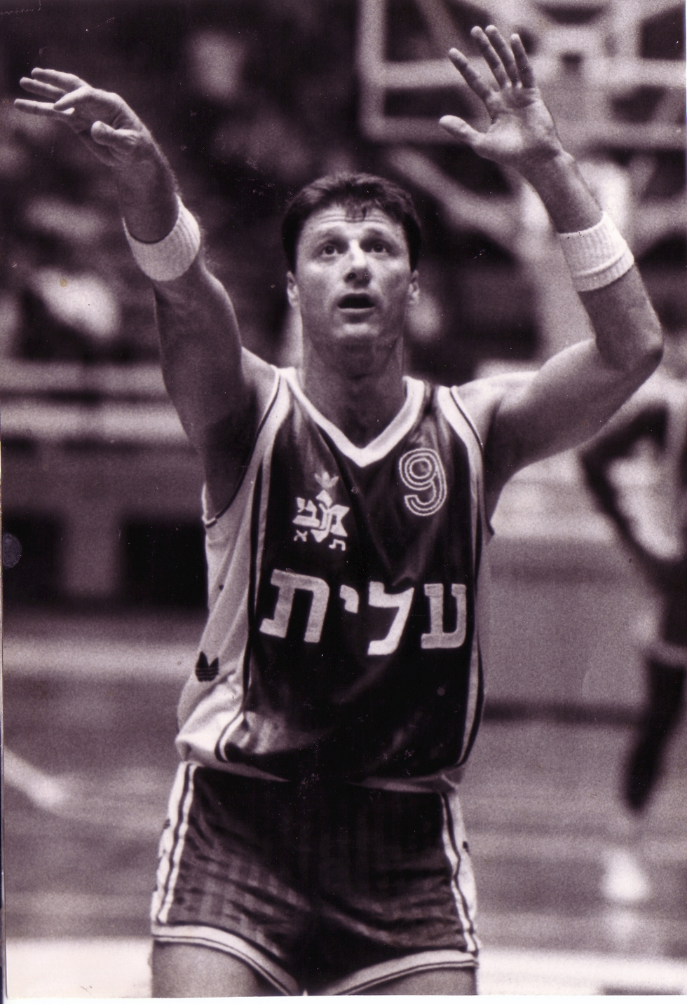 ברקוביץ'. הכדורסלן הגדול בישראל בכל הזמנים (צילום: יוסי רוט) (צילום: יוסי רוט)