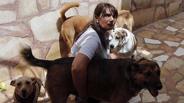 באביש בכלבייה. האיסלאם מורה להתייחס לחיות בידידות (צילום: AFP) (צילום: AFP)