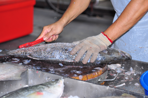 В магазинах рыбу разделывают в защитных перчатках. Фото: shutterstock