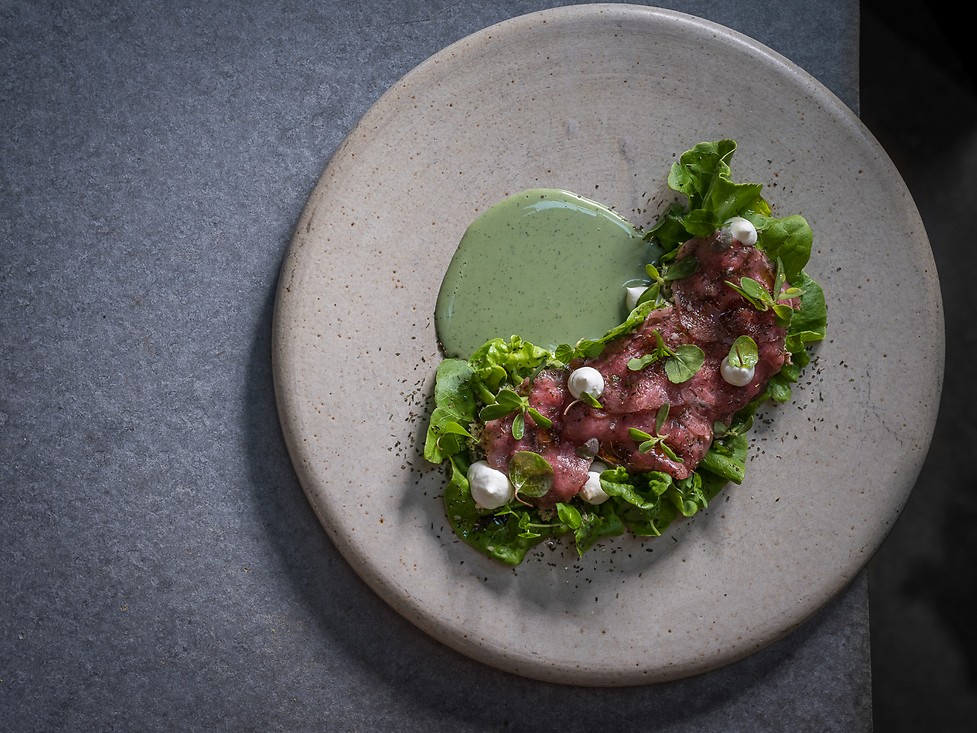 House-cured pastrami on a bed of greens (Photo: Anatoly Michaeli)