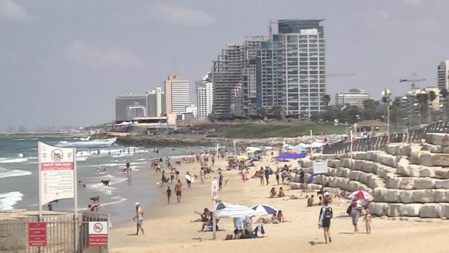 חוף הים בתל אביב. גובה הגלים מחר יגיע עד 120 ס"מ (צילום: אורי דוידוביץ) (צילום: אורי דוידוביץ)