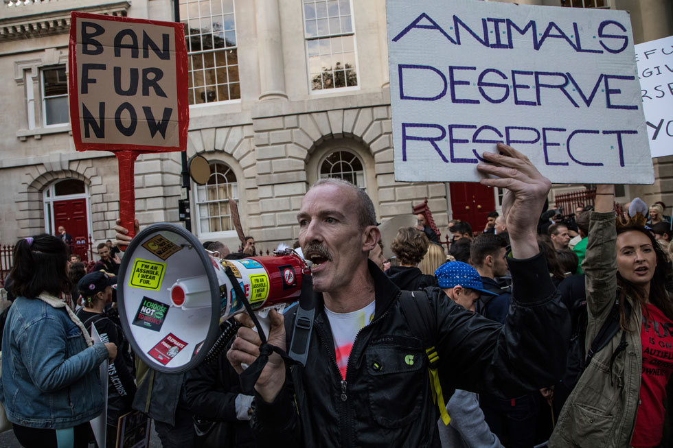 קידמו את פניהם של המוזמנים לתצוגה של ברברי: מפגינים לזכויות בעלי החיים (צילום: AP)