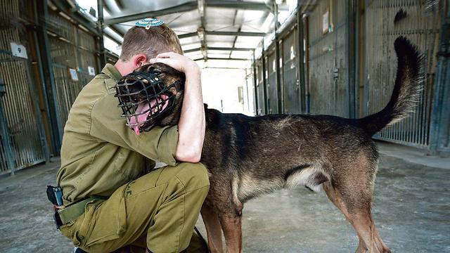 Staff Sergeant A. with a dog from the Oketz Unit. ‘A terrorist who hears barking or spots a kennel in the yard or a sign warning that there is a dog on the premises will avoid entering the house’ (Photo: Ilan Shapira)