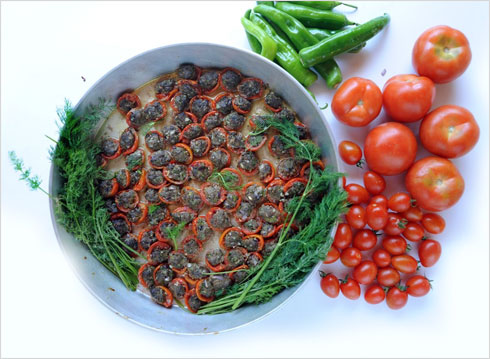 עגבניות שרי תמר ממולאות בבשר טלה (צילום: יעל נאוס)