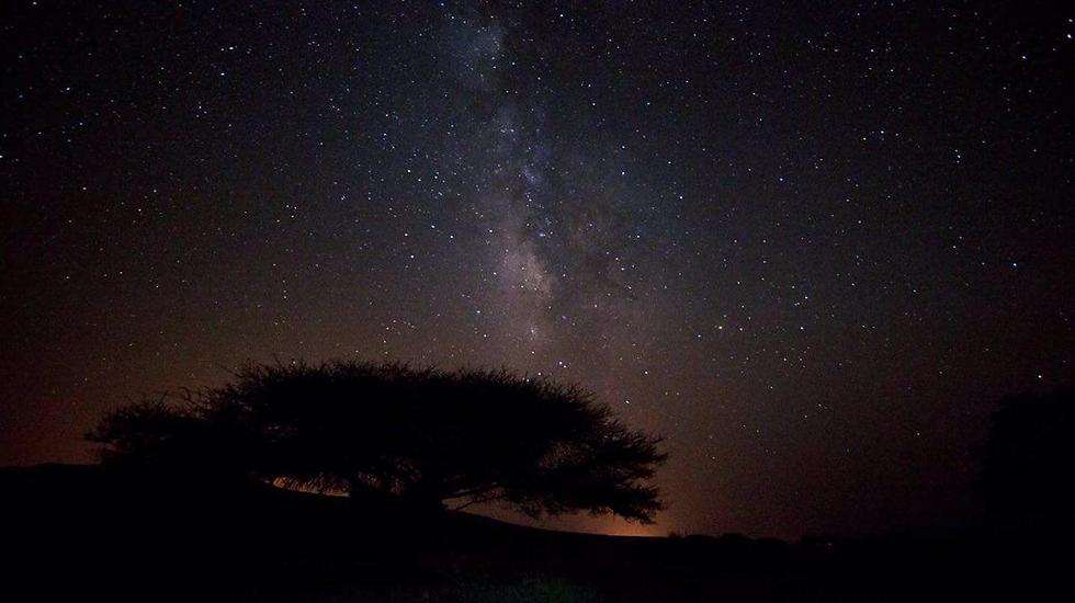 הכוכבים כפי שנראים ממכתש רמון (צילום: Jonathan Elihis) (צילום: Jonathan Elihis)