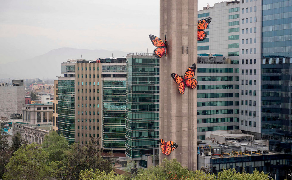 סנטיאגו, צ'ילה (צילום: AFP) (צילום: AFP)