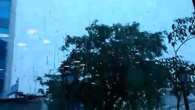 סוכות גשום בראשון לציון (צילום: רתם כנעני) (צילום: רתם כנעני)