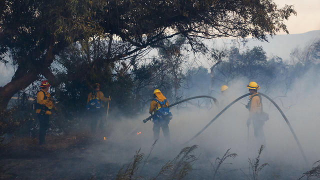 Лесной пожар в Калифорнии. Фото: AP
