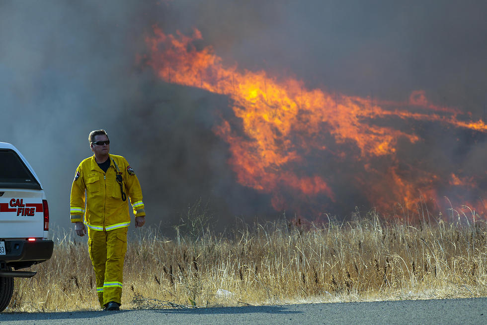Лесной пожар в Калифорнии. Фото: AP