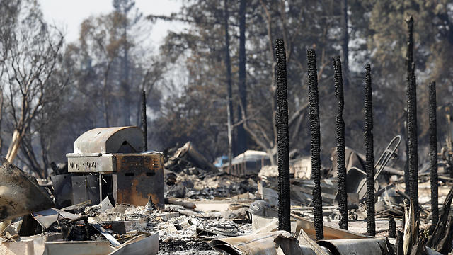Лесные пожары в Калифорнии. Фото: ЕРА