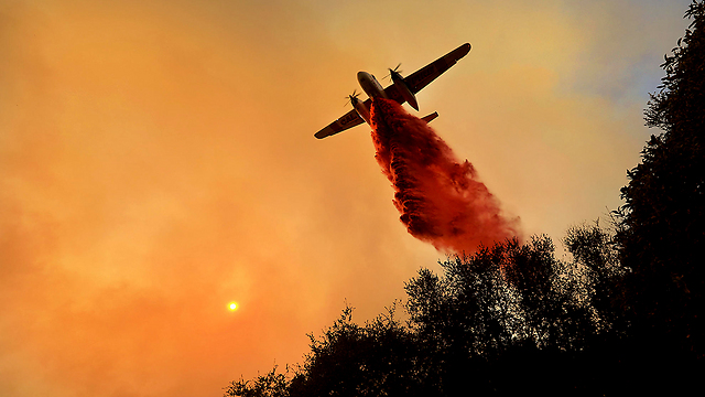 Лесные пожары в Калифорнии. Фото: АР