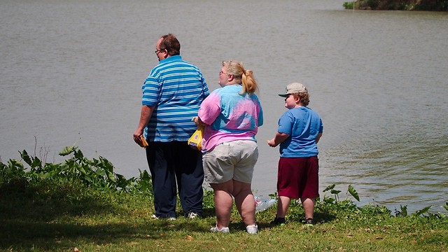 כל המשפחה במגמת השמנה. ארצות הברית (צילום: shutterstock) (צילום: shutterstock)