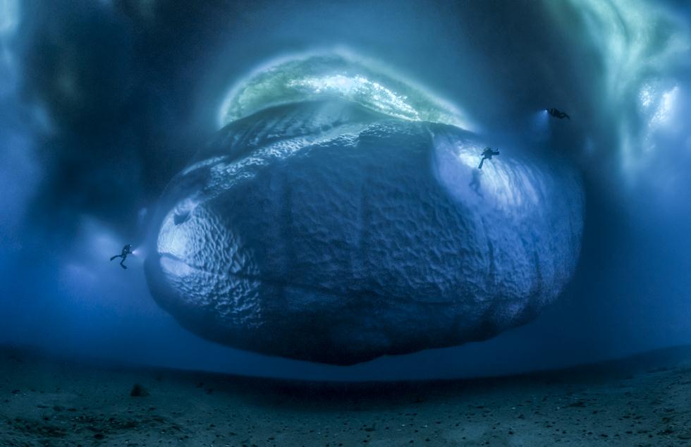 הצצה לקרחון מתחת למים במזרח אנטארטיקה. שילוב של 147 צילומים יחד (צילום: © Laurent Ballesta - Wildlife Photographer of the Year 2017) (צילום: © Laurent Ballesta - Wildlife Photographer of the Year 2017)