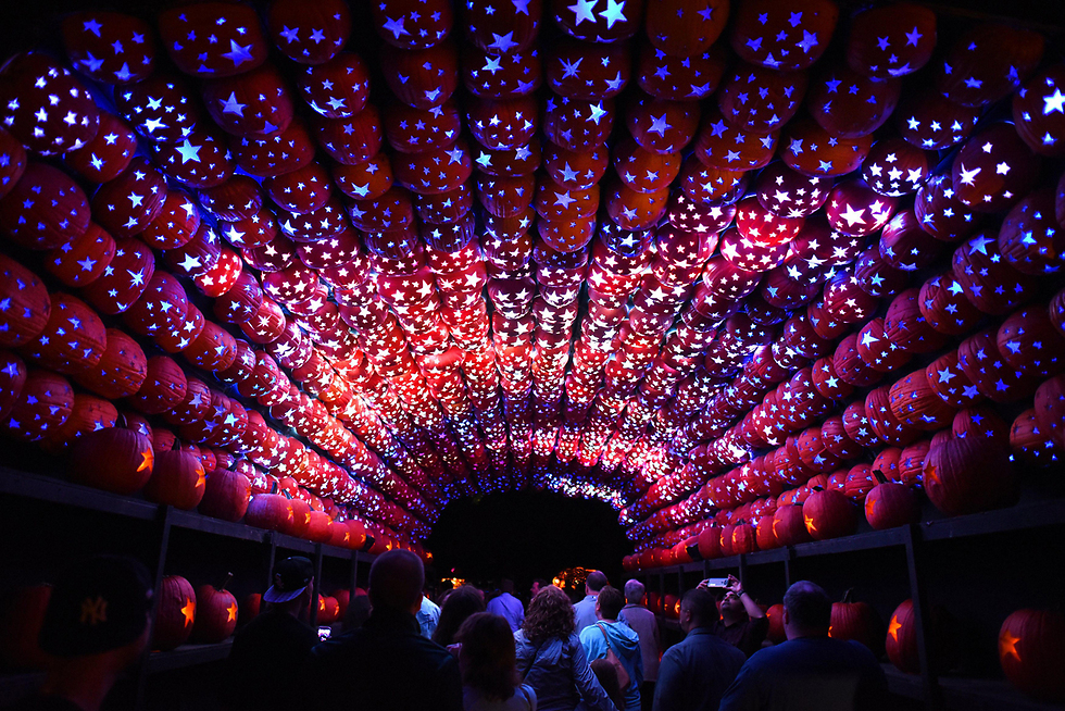תערוכת דלעות מוארות בניו יורק לקראת "ליל כל הקדושים". יותר מ-7,000 דלעות עוצבו עבור המיצג (צילום: AFP) (צילום: AFP)