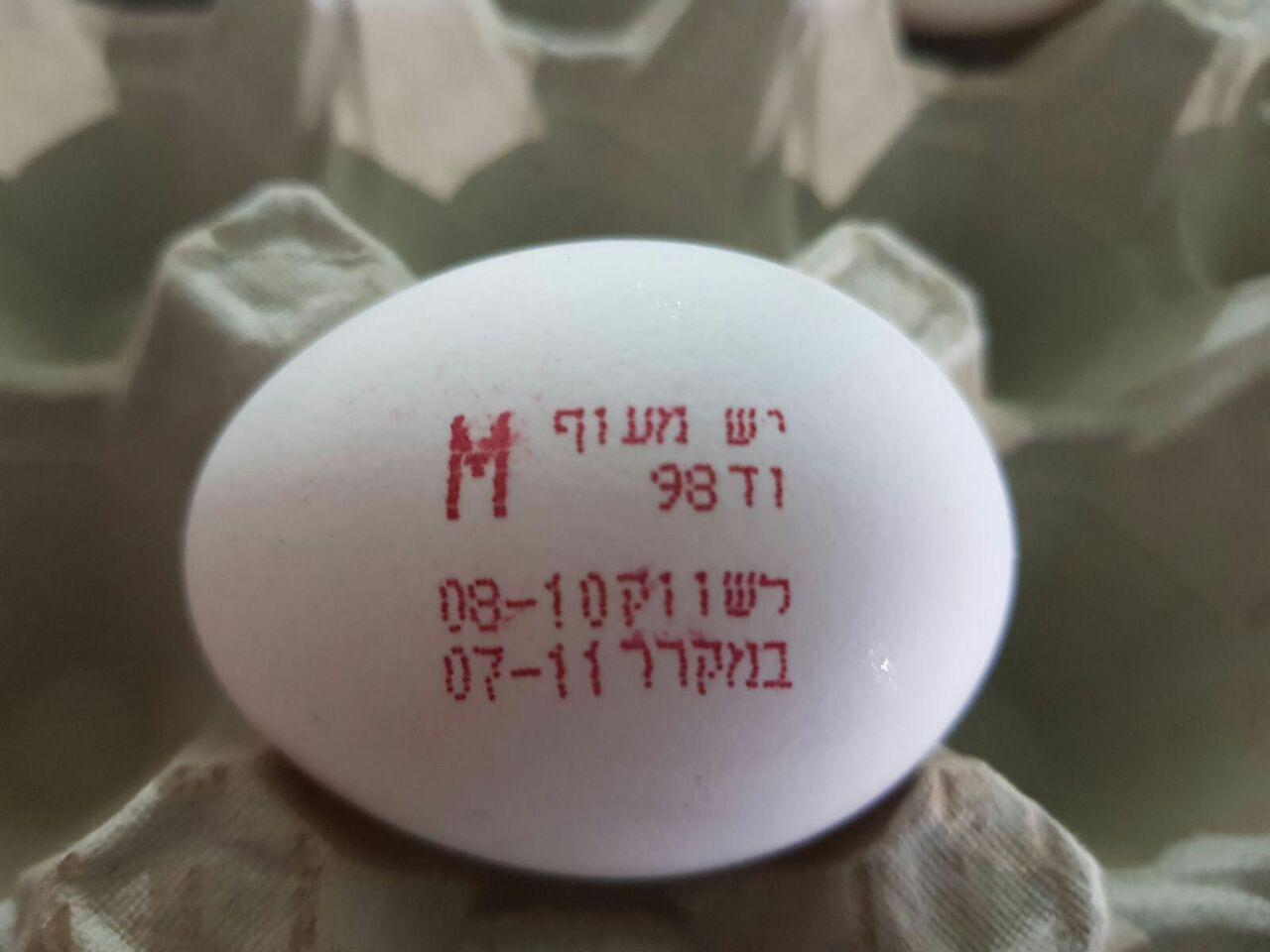 ביצה מקורית של יש מעוף (צילום: יש מעוף) (צילום: יש מעוף)
