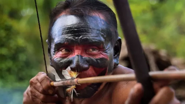 דרוכים עם חץ וקשת בשבט הוואיפאי (צילום: AFP) (צילום: AFP)
