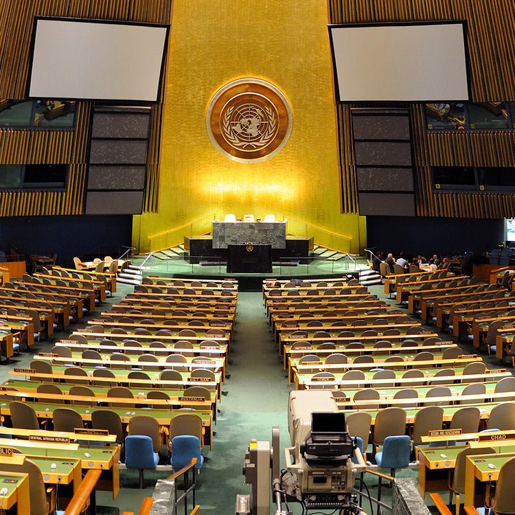 The UN General Assembly 