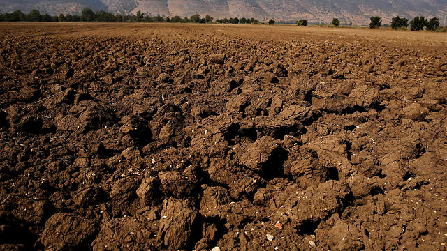 A dry agricultural field is seen in the Hula Valley, northern Israel (Photo: Amir Cohen/Reuters)