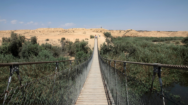 גשר החבלים התלוי מעל נחל הבשור (צילום: יעקב שקולניק) (צילום: יעקב שקולניק)