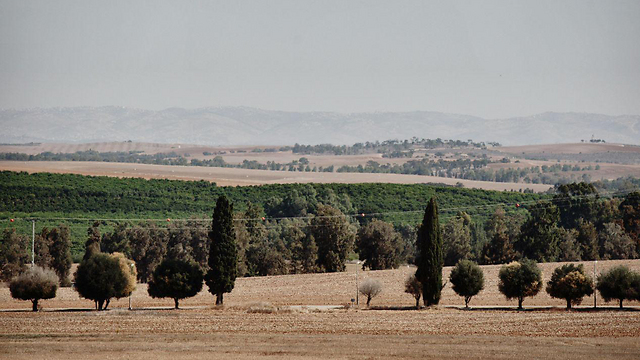 אזור חוות שקמים בשער הנגב (צילום: רועי עידן) (צילום: רועי עידן)
