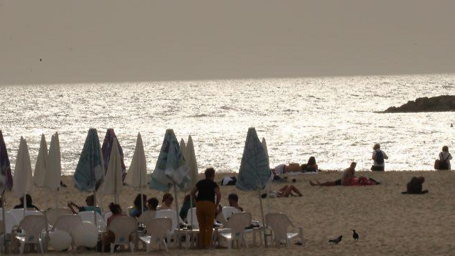 אובך ומבלים בחוף הים בתל אביב (צילום: מוטי קמחי) (צילום: מוטי קמחי)
