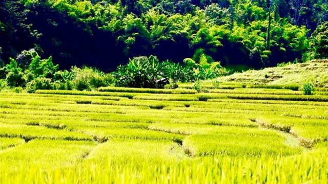 "גן העדן האמיתי של תאילנד", פאי (מתןך הווידאו של עידן זיידמן) (מתןך הווידאו של עידן זיידמן)