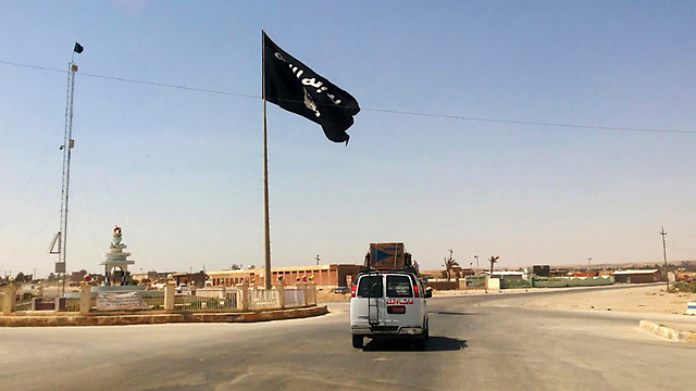 דגל דאעש מתנוסס בעיר ראווה לאחר כיבושה ב-2014 (צילום: AP) (צילום: AP)