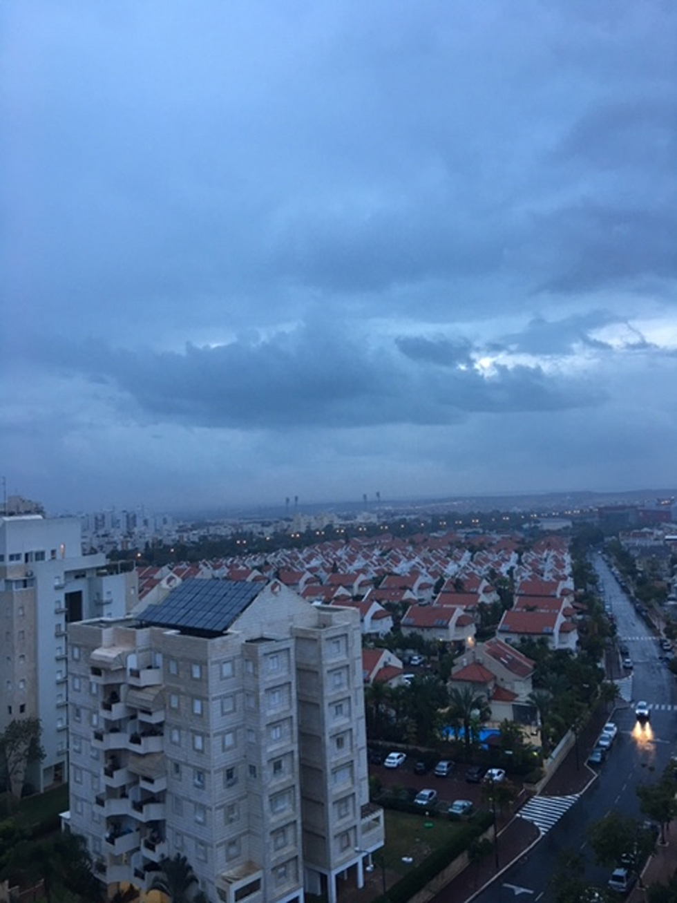 אפור וגשום גם בתל אביב (צילום: שלמה פשה) (צילום: שלמה פשה)
