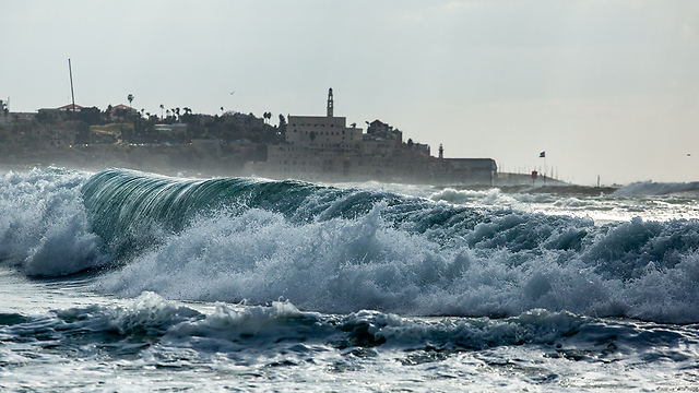 גלים גבוהים בתל אביב (צילום: גבי ברגר ) (צילום: גבי ברגר )
