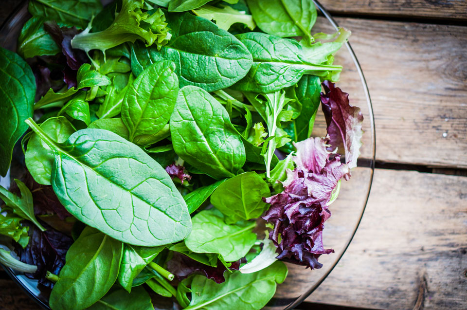 Зеленый салад - кладезь витаминов. Фото: Shutterstock.com