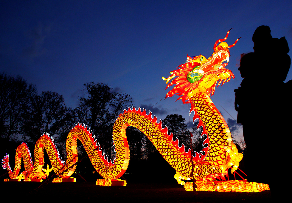 דרקון ענק בפסטיבל האור הסיני בקלן, גרמניה (צילום: רויטרס) (צילום: רויטרס)