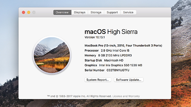 MacOS High Sierra (צילום מסך) (צילום מסך)
