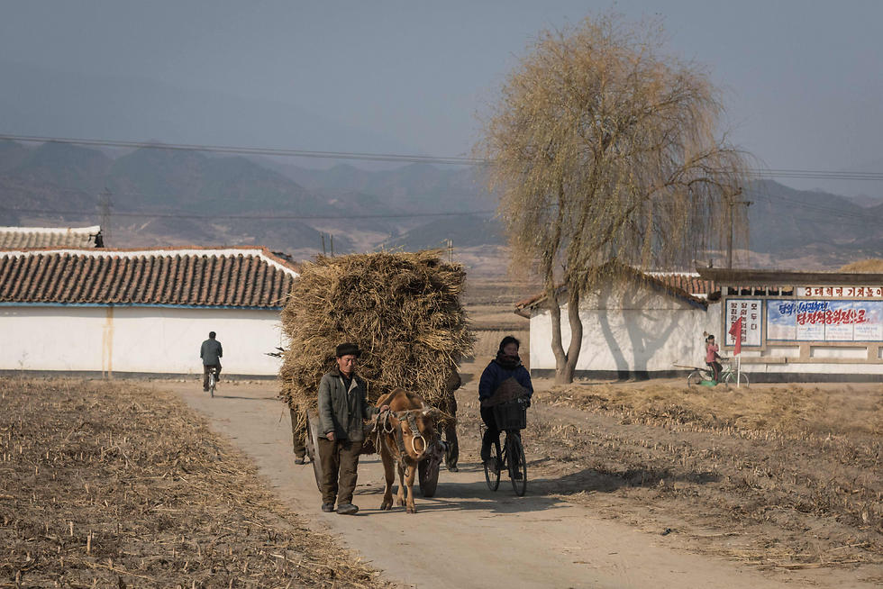 אזרחים בצפון קוריאה (צילום: Ed Jones, AFP) (צילום: Ed Jones, AFP)