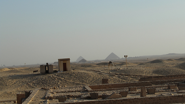 אזור הפירמידה של ג'וסר (צילום: רועי קייס) (צילום: רועי קייס)