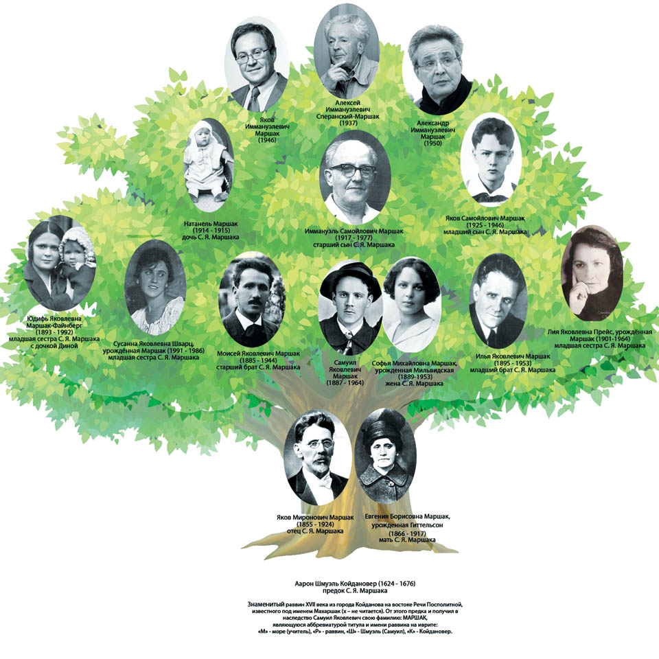 Генеалогическое дерево семьи Маршак