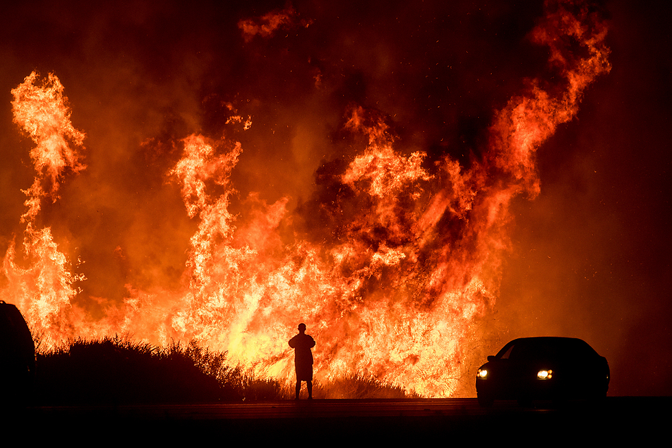 אדם מציל ארנב על רקע שריפת ענק בוונטורה, קליפורניה (צילום: AP) (צילום: AP)
