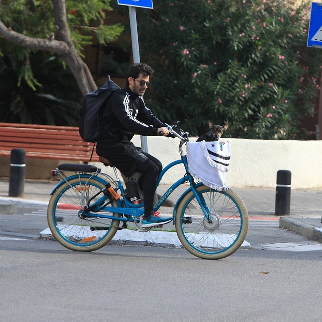 יהודה. פעם אחרונה בלי קסדה! (צילום: מוטי לבטון) יהודה. פעם אחרונה בלי קסדה! (צילום: מוטי לבטון)