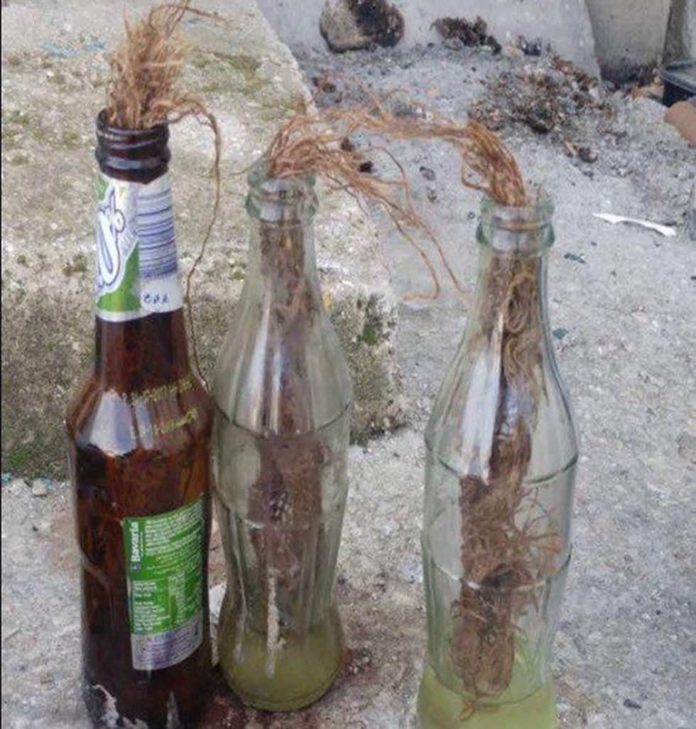 אותרו בקבוקי תבערה מוכנים לשימוש (צילום: דוברות המשטרה) (צילום: דוברות המשטרה)